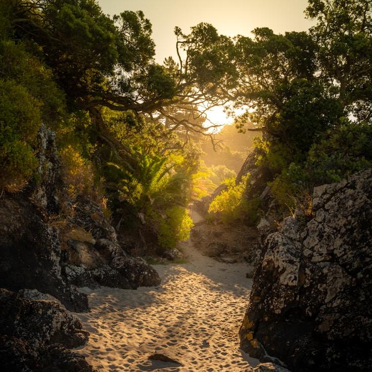 Low-impact nature route